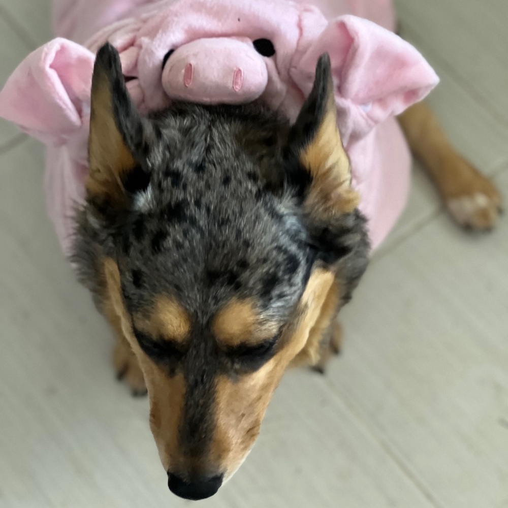 Pet Halloween Pig Fluffy Costume